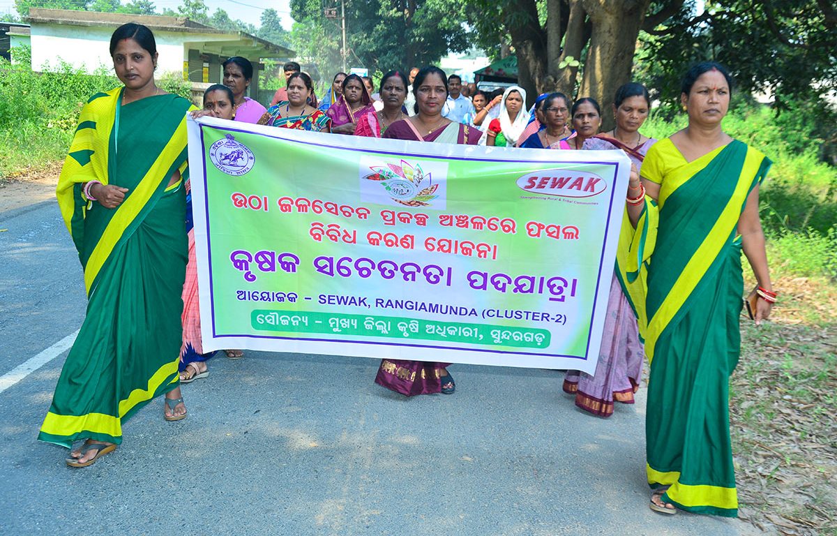 Transforming Agriculture through Crop Diversification: SEWAK’s Initiative for Sustainable Farming