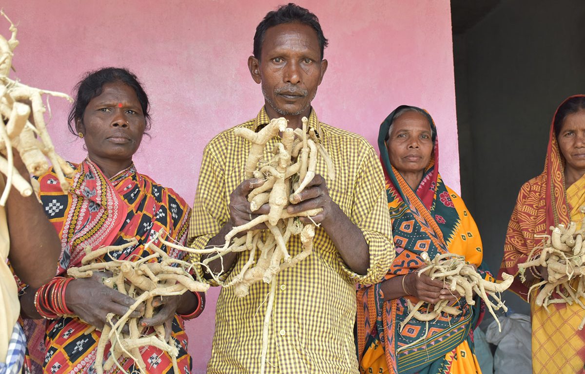 Transforming Lives Through Agriculture: Focused  Area...