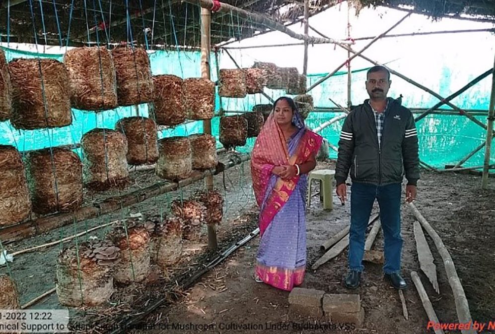 Empowering Rural Women through Collective Action: A Case Study on Mushroom Cultivation