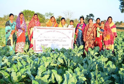 Empowering Rural Women Farmers: A Case Study from B. Karuabahal Village