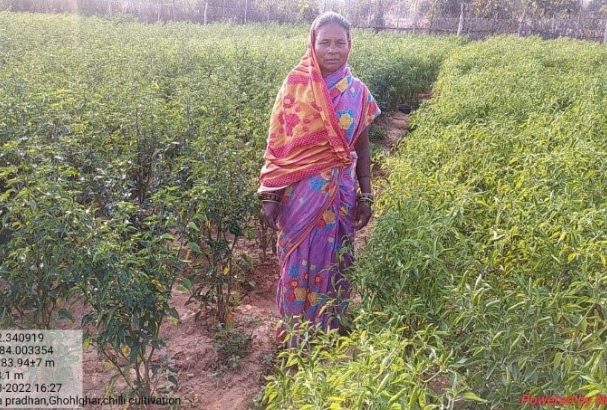 Empowering Women Farmers:  Lilima Pradhan’s Journey to Agricultural Success