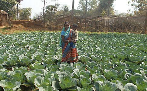 Ultrapoor Livelihood Dev Project