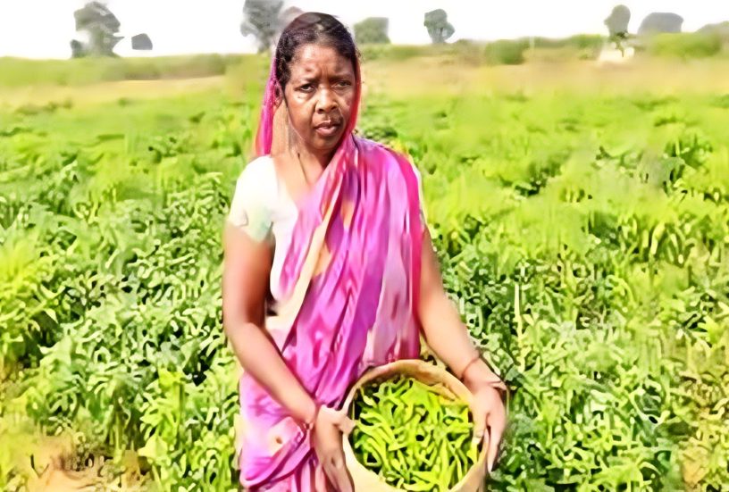 Santosh Kujur’s Journey to Agricultural transformation